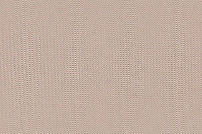Plain Beige