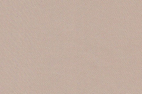 Plain Beige