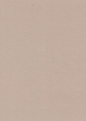 Plain Beige