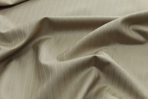 Beige Self Stripe