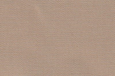 Plain Beige