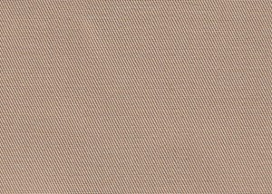 Plain Beige