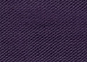 Plain Purple