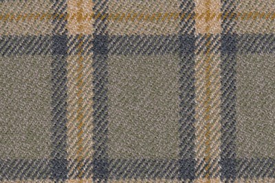 grey/green w/blue/gold check