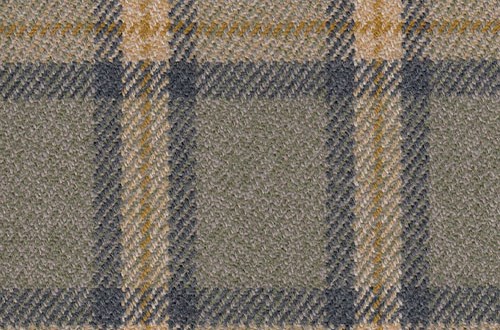 grey/green w/blue/gold check