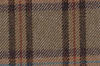 brown/green w/brown/blue/red check