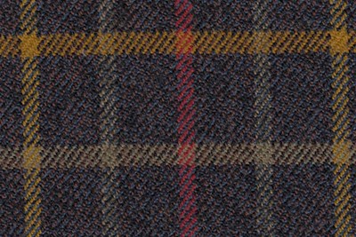 Navy w/ gold/green/yellow check