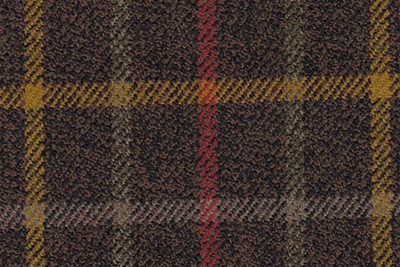 Brown w/yellow/red/green check